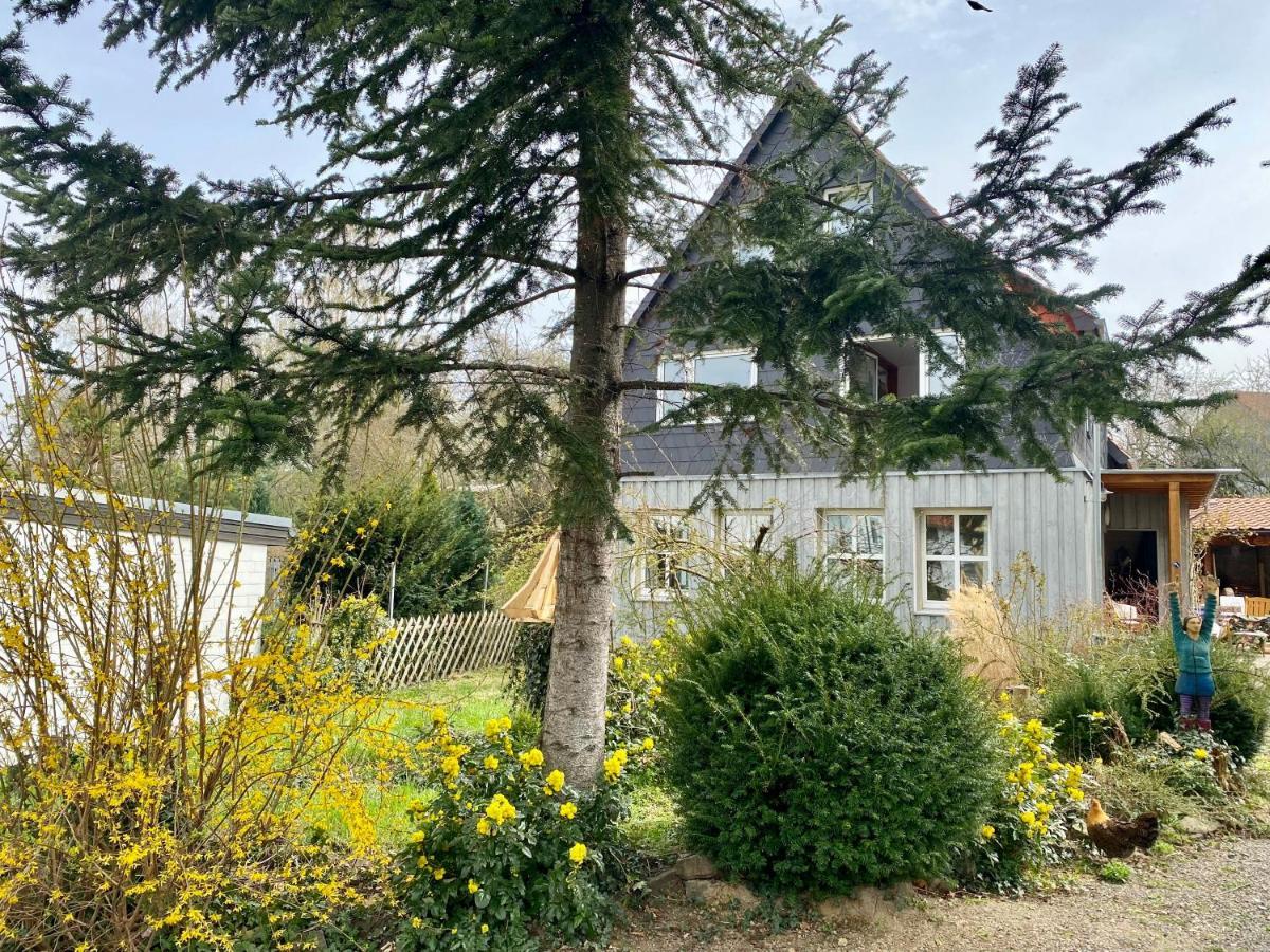 Gronocottage Bad Harzburg Εξωτερικό φωτογραφία